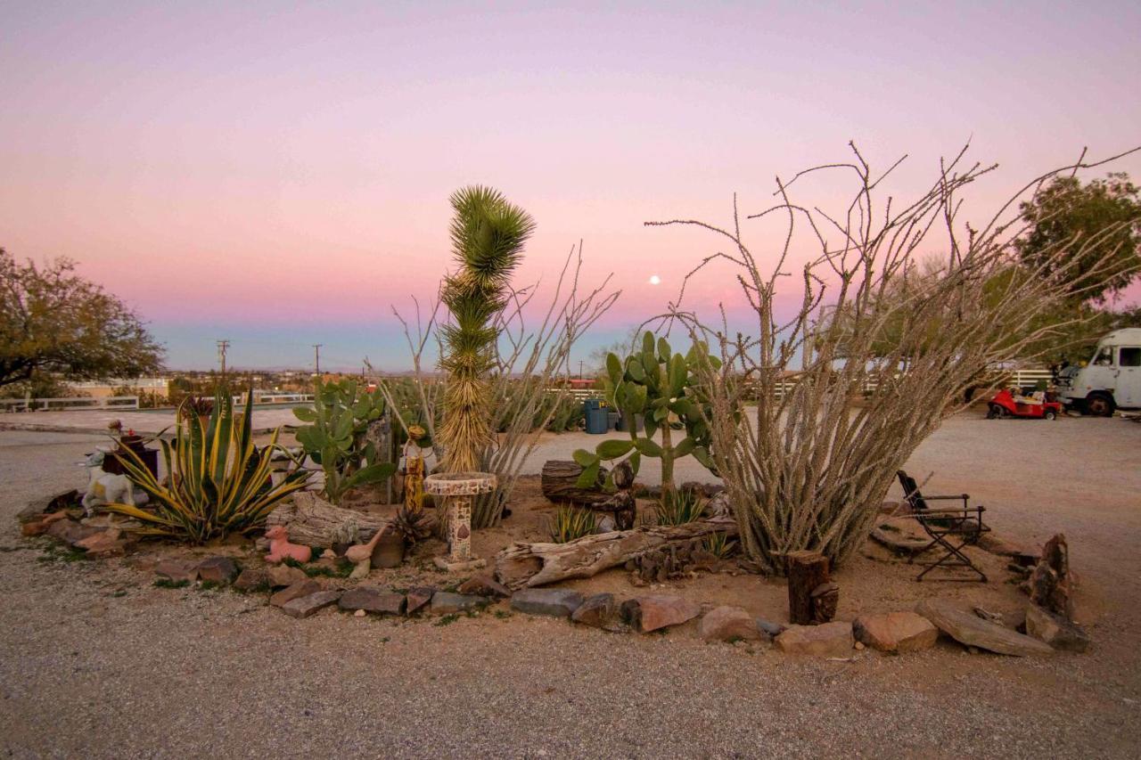 Joshua Tree Ranch House Motell Exteriör bild
