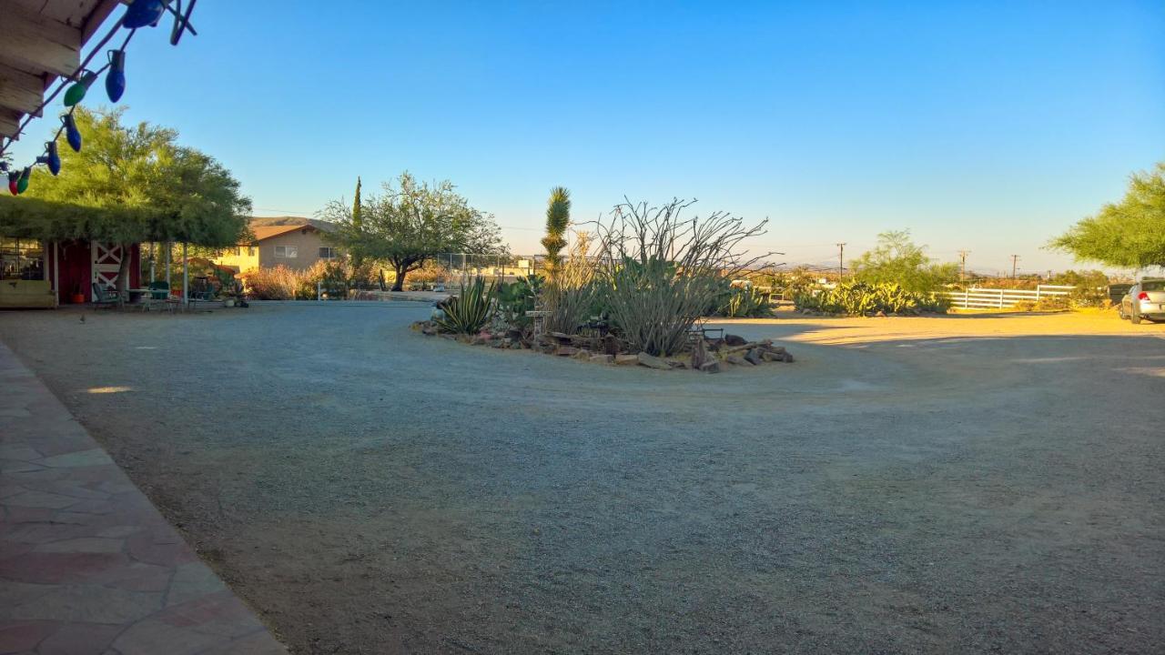 Joshua Tree Ranch House Motell Exteriör bild
